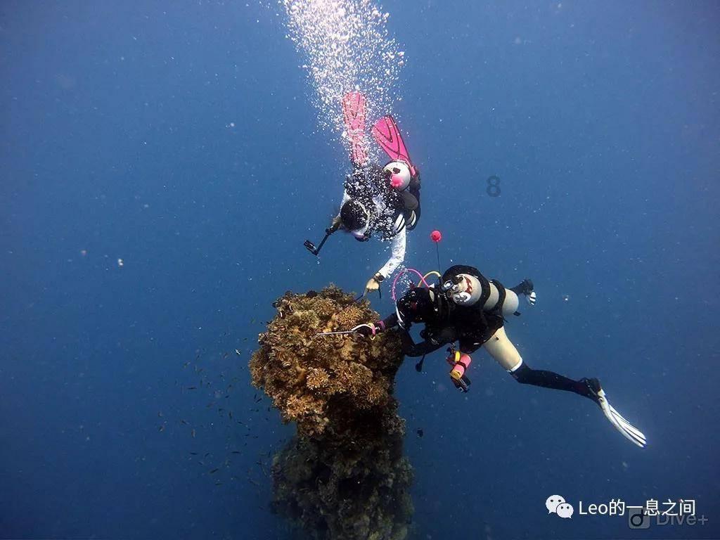 重庆旅游小众玩法 | 重庆→三峡三天纯玩路线及游玩攻略!