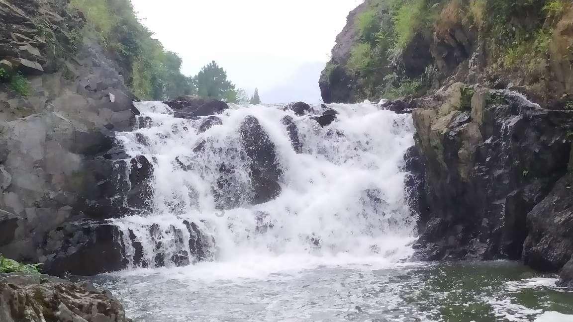 动词游戏