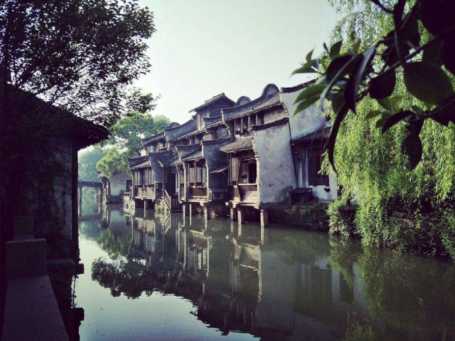 白孔雀救援