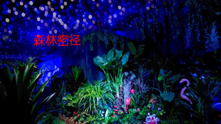 继“小东北虎”后，河南“小玉米”也来桂林啦！
